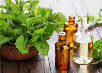خواص روغن نعناع خواص روغن نعناع